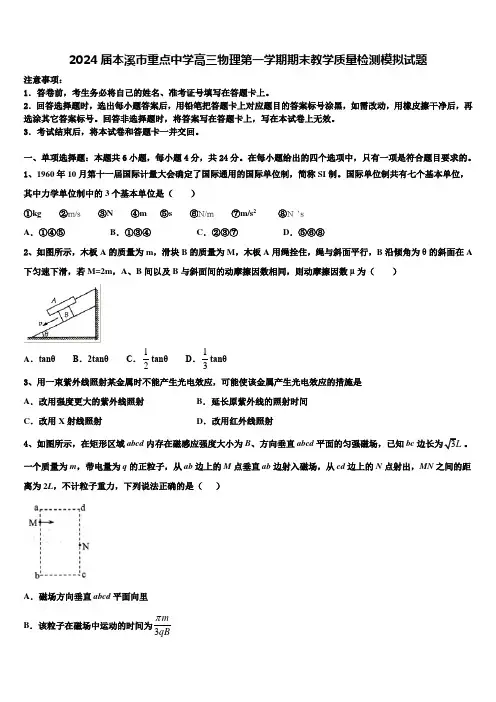 2024届本溪市重点中学高三物理第一学期期末教学质量检测模拟试题含解析
