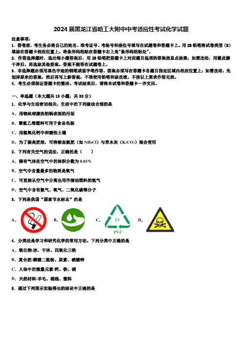 2024届黑龙江省哈工大附中中考适应性考试化学试题含解析