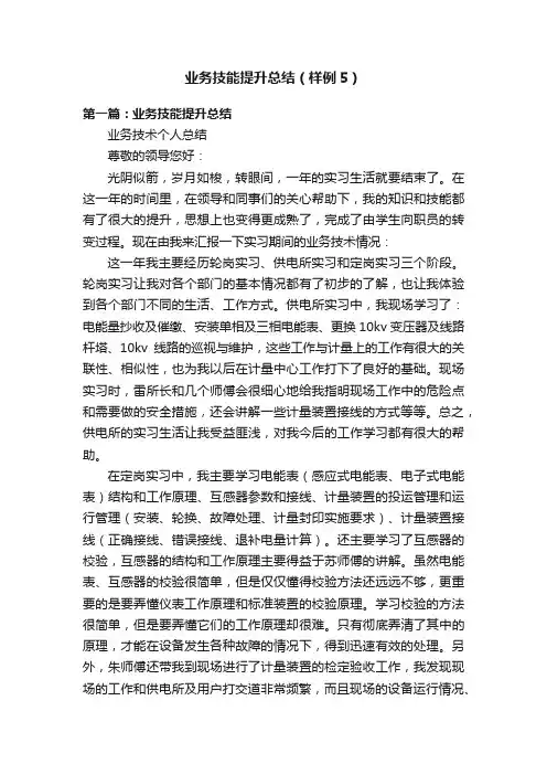 业务技能提升总结（样例5）