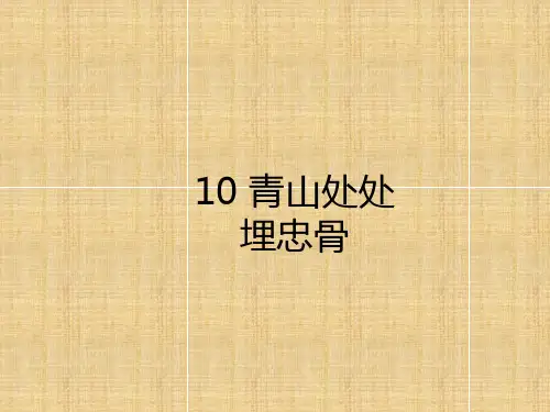 部编版青山处处埋忠骨上课课件1