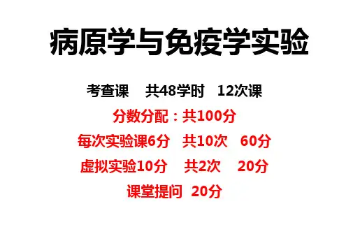 凝集反应PPT