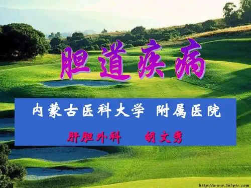 胆道疾病
