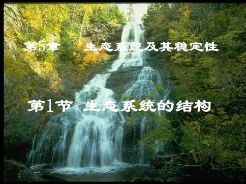 生态系统的结构及能量流动