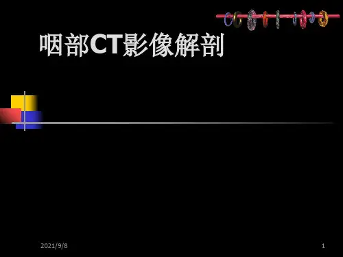 鼻咽部的CT解剖