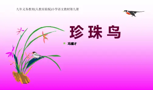 人教最新版小学五年级语文上册人教新课标版五年级语文上册第16课《珍珠鸟》_课件
