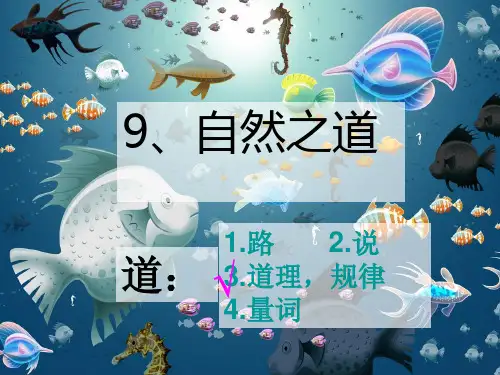 精读课《自然之道》PPT课件