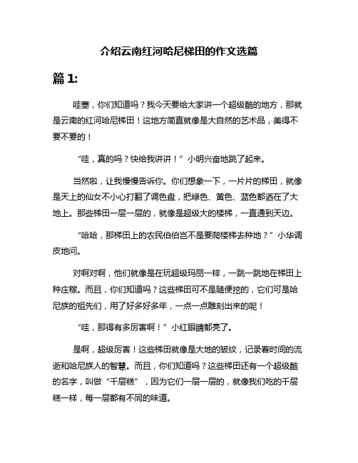 介绍云南红河哈尼梯田的作文选篇