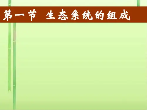 生态系统的组成PPT课件6 济南版