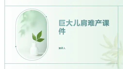 巨大儿肩难产课件