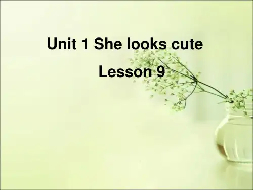精通版五年级英语上册Unit 2 She looks cute. Lesson 9 课件2