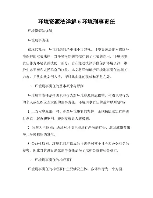 环境资源法详解6环境刑事责任