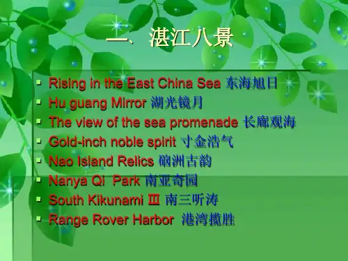 湛江八景的presentation