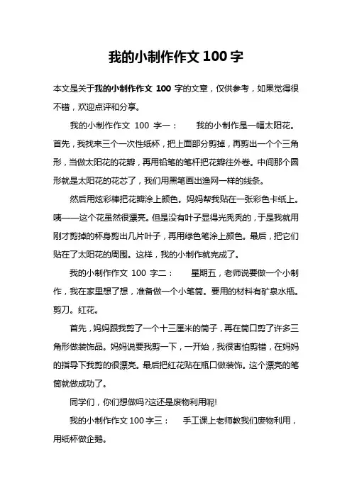 我的小制作作文100字