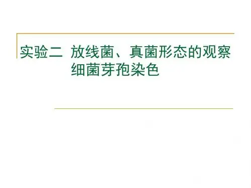 实验二放线菌真菌形态观察