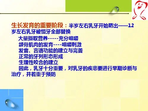 乳牙的解剖形态