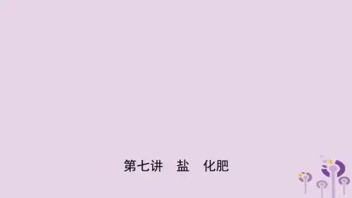 【化学课件】2019年中考化学一轮复习第7讲盐化肥精讲精练ppt课件