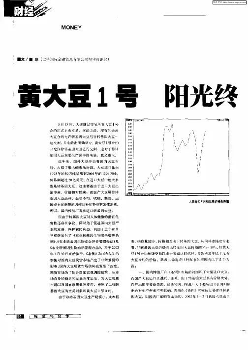 黄大豆1号阳光终有灿烂时