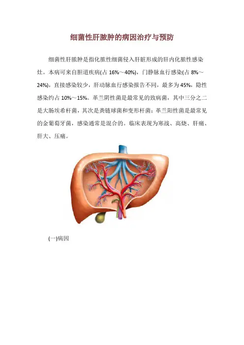 细菌性肝脓肿的病因治疗与预防