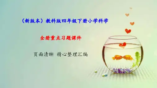 新教科版四年级下册科学全册重点题型练习课件(含答案)