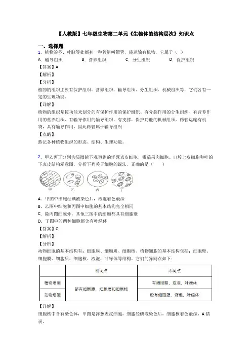 【人教版】七年级生物第二单元《生物体的结构层次》知识点