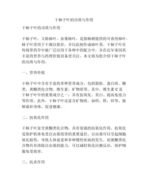 干柿子叶的功效与作用