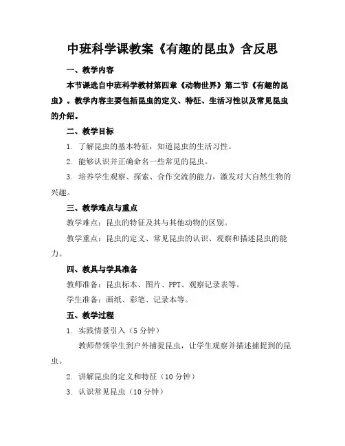 中班科学课教案《有趣的昆虫》含反思