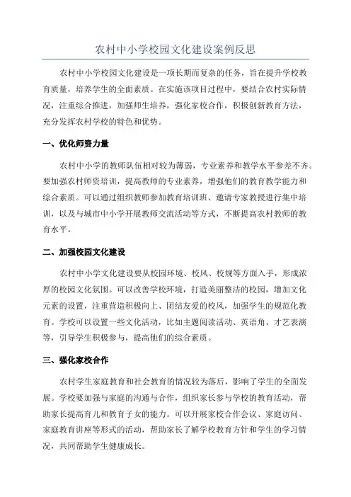 农村中小学校园文化建设案例反思