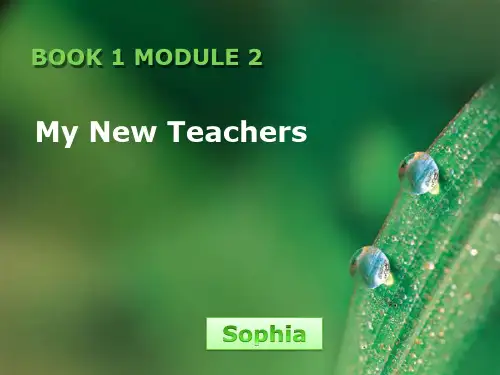 外研版高中英语必修1 Module2_Grammar_名师课件