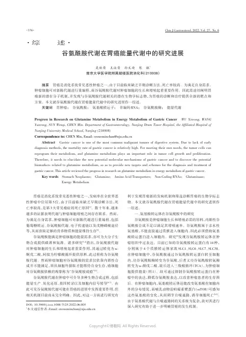 谷氨酰胺代谢在胃癌能量代谢中的研究进展　