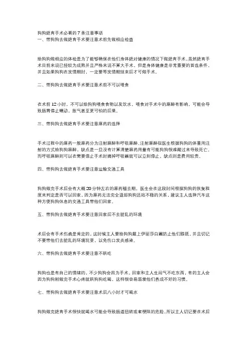 狗狗绝育手术必看的7条注意事项