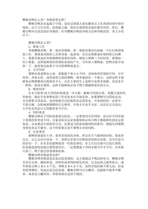 樱桃谷鸭怎么养？养殖前景怎样？