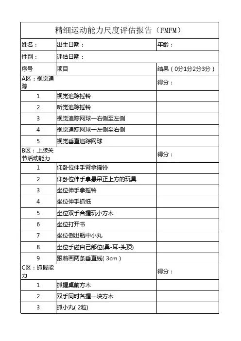精细评估量表