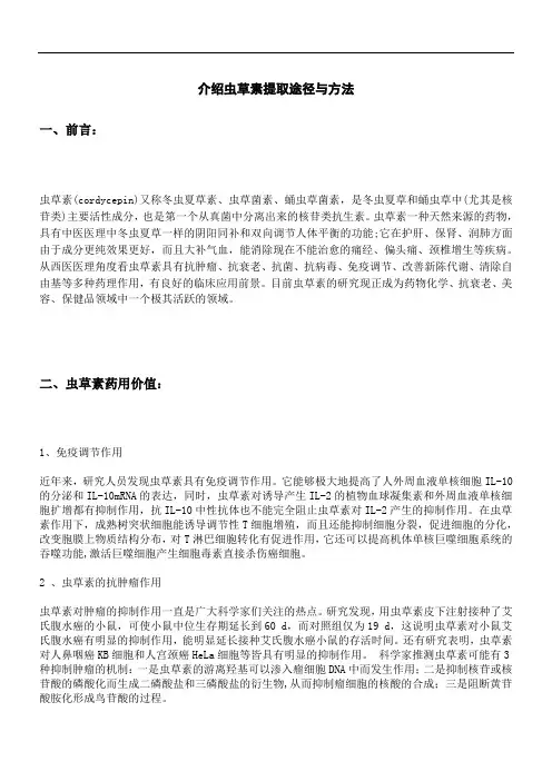 介绍虫草素提取途径与方法