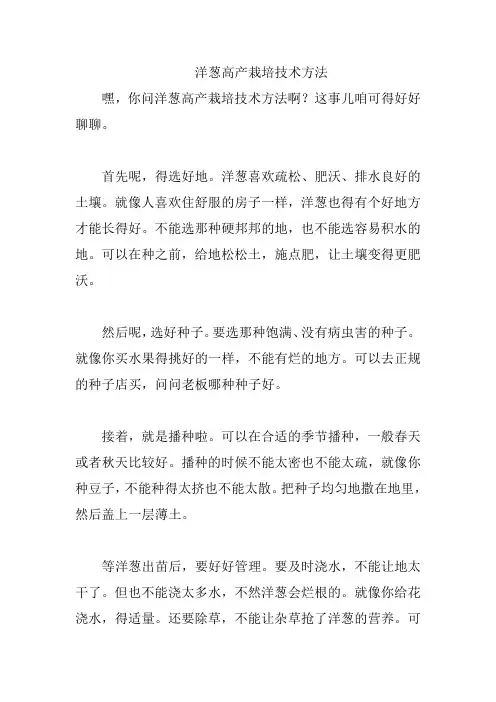 洋葱高产栽培技术方法