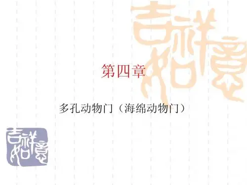 第四章海绵动物