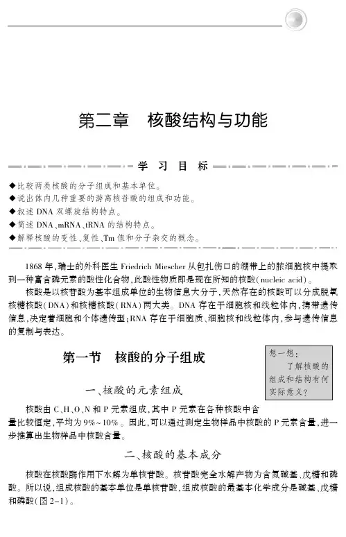 2核酸的结构和功能