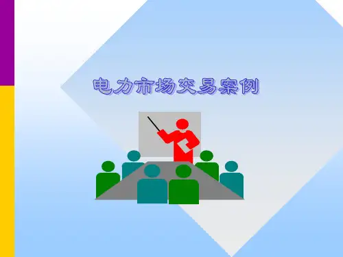 电力市场案例2-电力市场交易