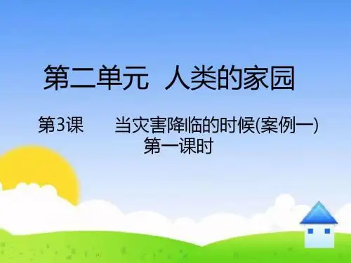 2.3《当灾难降临的时候》精品课件第1课时