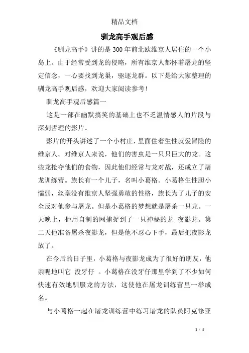 驯龙高手观后感