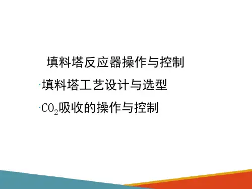 填料塔反应器的操作与控制—填料塔反应器的操作与控制