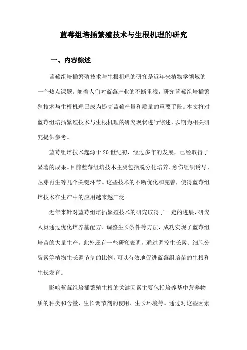 蓝莓组培插繁殖技术与生根机理的研究