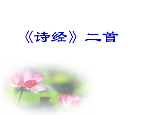部编人教版语文 八年级下 《诗经》两首(关雎、蒹葭)优质课件 PPT