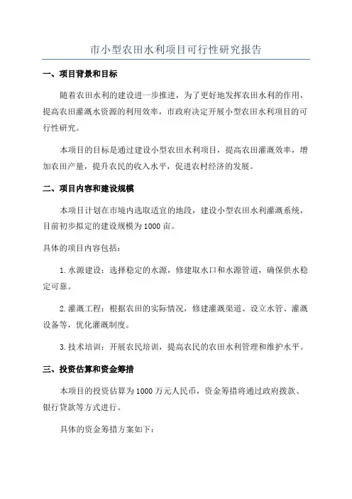 市小型农田水利项目可行性研究报告