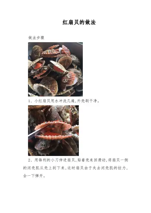 红扇贝的做法