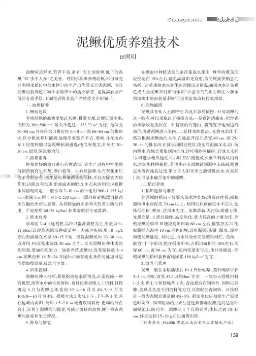 泥鳅优质养殖技术