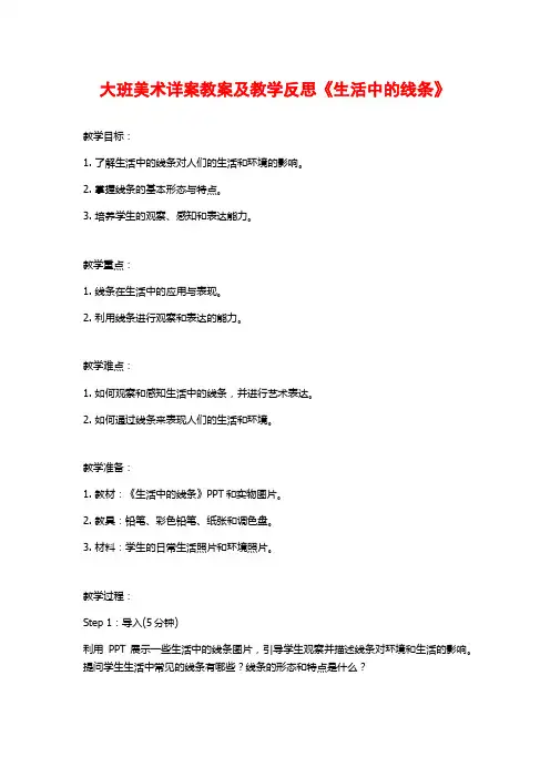 大班美术详案教案及教学反思《生活中的线条》