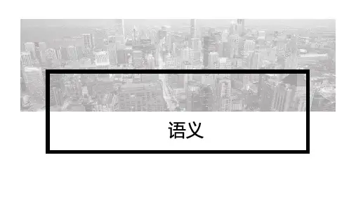 语言学概论(第四版)语义