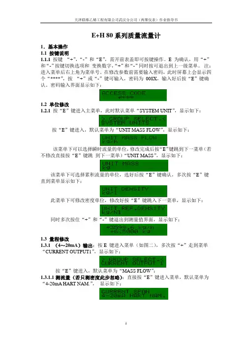 E+H 80系列 质量流量计作业指导书