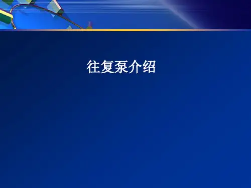 往复泵(柱塞泵