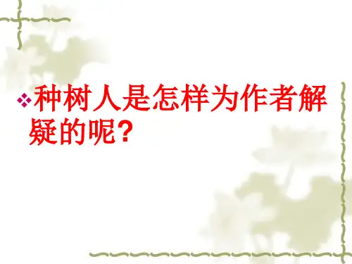 桃花心木备课课件PPT